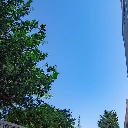 Jacarplaya * Benalmádena